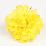 Zinnia. Flemish flower. Yellow. 9cm